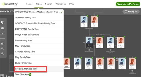 Image result for Sharing Ancestry Tree