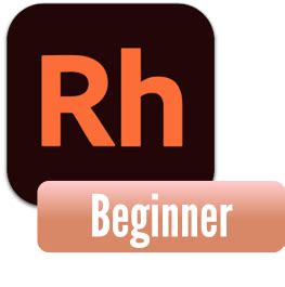 Image result for RoboHelp Training