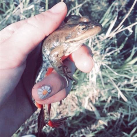 Image result for Toad with Fake Nails Meme