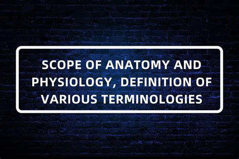 1. SCOPE OF ANATOMY AND PHYSIOLOGY, DEFINITION OF VARIOUS TERMINOLOGIES ...