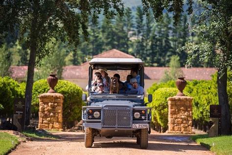 2026 Private Wine Safari Drive At Waterford Wine Estate (Cape Town ...