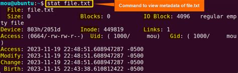 What Is File System Metadata 的图像结果