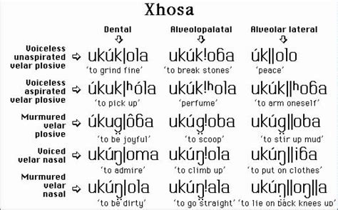 Image result for Example of Xhosa Click Language