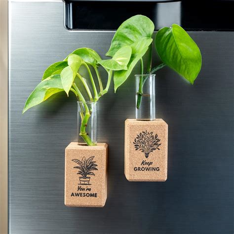 Buy Artmansha Positive Affirmation Fridge Planters| Set of 2 | Tiny ...