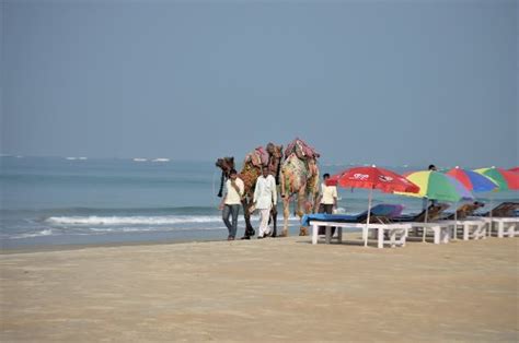 THE 10 BEST Things to Do Near Benaulim Beach (2025) - Tripadvisor