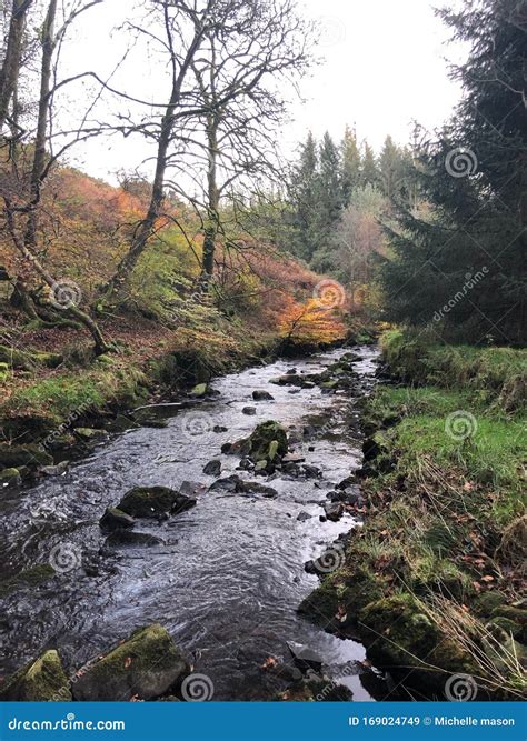 The babbling brook stock image. Image of babbling, brook - 169024749
