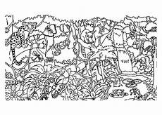 ausmalbilder jungle tiere the animals of the jungle forest ausmalbilder jungle tiere the animals of the jungle forest