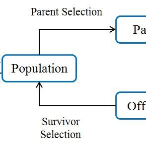Image result for Genetic Algorithm Schematic
