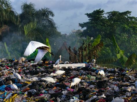 Nuevos desafíos al multilateralismo | Meer