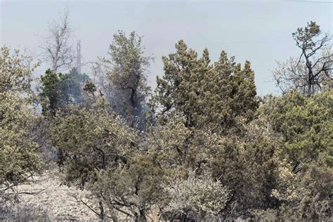 Fredericksburg's Crabapple Fire nearly 65% contained