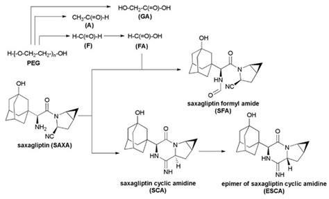 Understanding and Kinetic Modeling of Complex Degradation Pathways in ...
