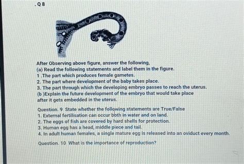 Answer the 3 Questions its urgent.. - Brainly.in