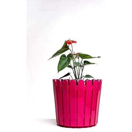 Nested Greens - Fence Pot 11” Inch | Indoor Plant Container | 11 inch ...