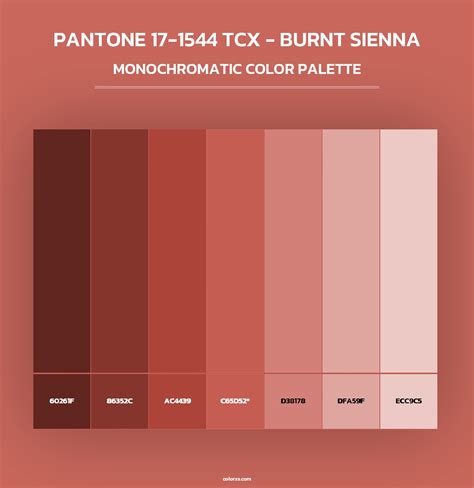 PANTONE 17-1544 TCX - Burnt Sienna color palettes - colorxs.com