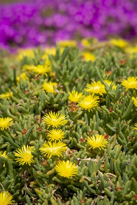 Legacy Lens Review: Nikkor ED 180mm f2.8 Ai-s - The Noisy Shutter