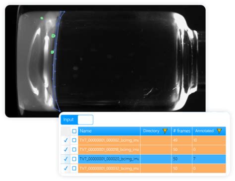 Image result for Bravetti Visual Inspection Machine