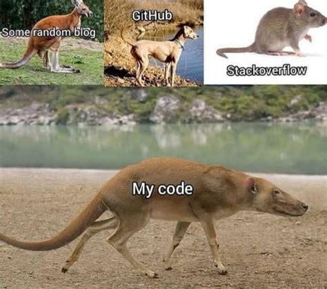 Image result for Copy Code Meme