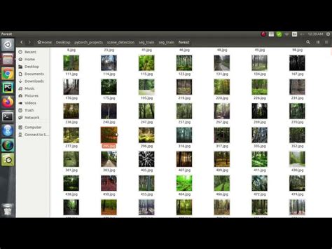 Pytorch Image Classification Tutorial 的图像结果