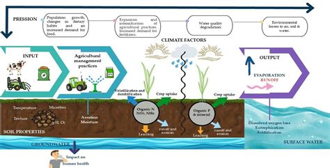 Nutrient Water Pollution from Unsustainable Patterns of Agricultural ...