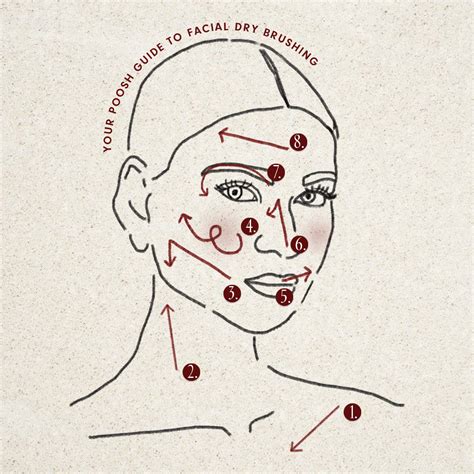 How to Dry Brush Your Face and Neck - Poosh