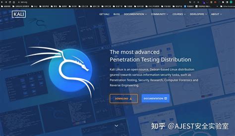 Image result for Kali Linux Home