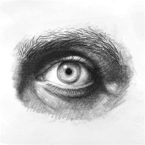 Image result for Drawing Tutorials Adult Beginner