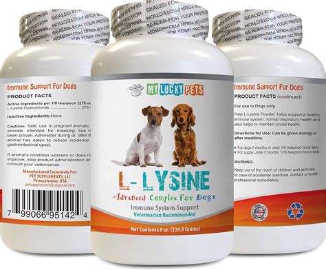 Best Vitamin Supplements For Dogs With Allergies – Your Best Life