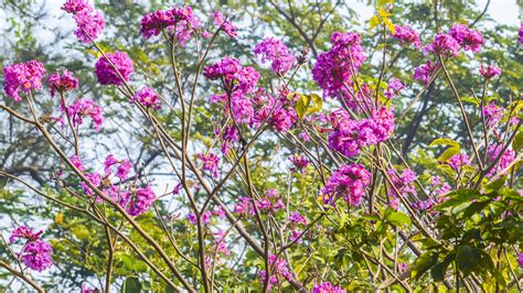 Bhabha Atomic Research Centre ( BARC ), Department of Atomic Energy ...