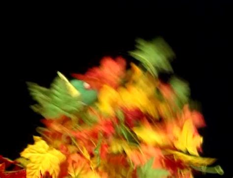 Image result for Window Shattering Sound Effect