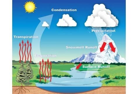 Water is a renewable natural resources give reason - Brainly.in