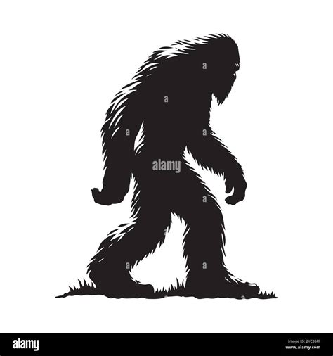 Sasquatch silhouettes isolated on a white background, Vector illustration Stock Vector Image ...