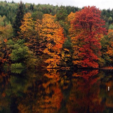 Roetgen Tourism (2024): All You Need to Know Before You Go