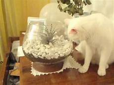 come decorare un vaso di vetro murphy alle prese con un vaso di vetro come decorare un vaso di vetro murphy alle prese con un vaso di vetro