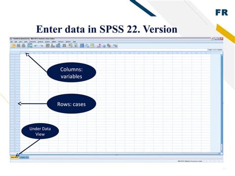 Image result for How to Use SPSS Program