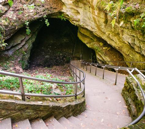 Horse Cave, KY - Dart Corporate