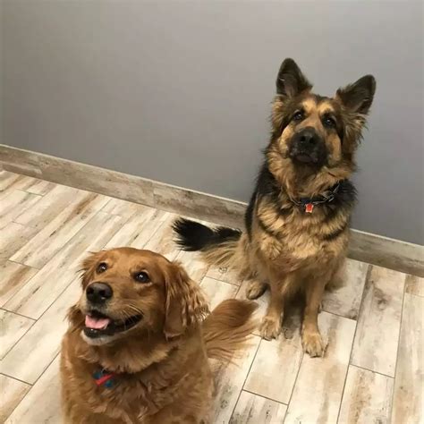 Our Photo Gallery | Companion Animal Hospital Kenosha