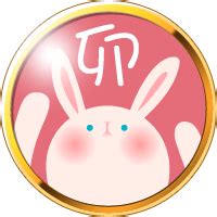 Image result for No Python Interpretefiler