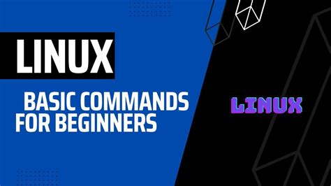 Image result for Linux Basic Commands for Beginners Tutorial