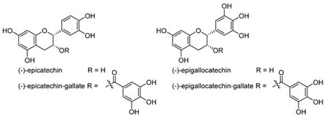 Review and Chemoinformatic Analysis of Ferroptosis Modulators with a ...