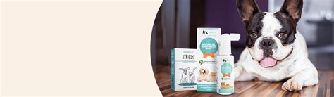 Buy Health & Wellness Medication for Dogs Online in Best Prices in ...