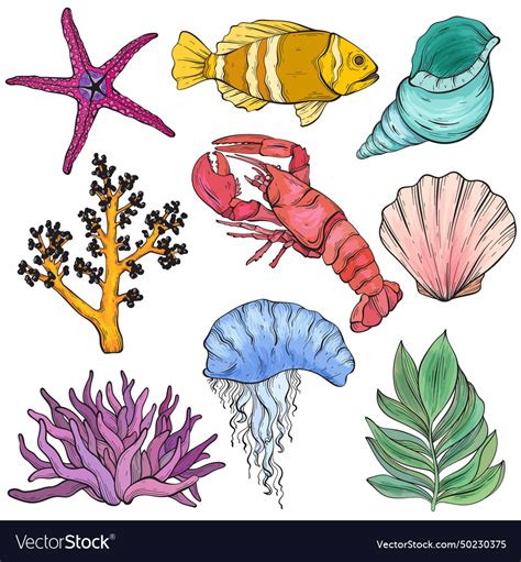 Sea Creatures for Design 的图像结果