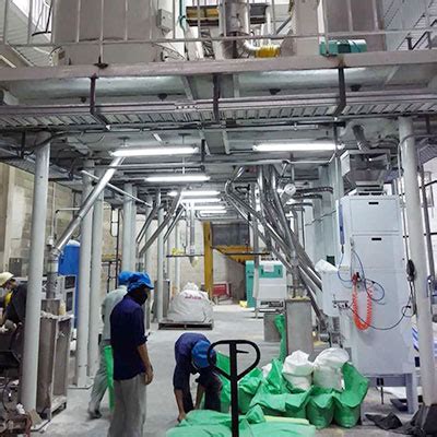 Grain Processing Machine , Grain Mill, Grain Processing Plant - WinTone ...