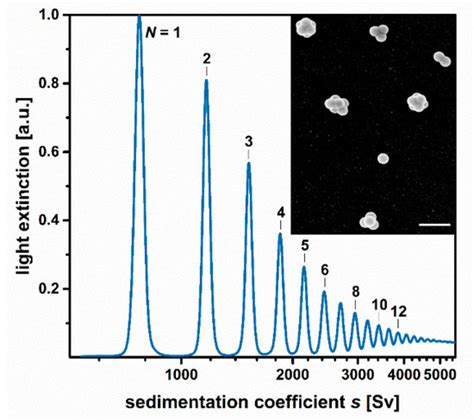 Direct Measurement of Sedimentation Coefficient Distributions in ...