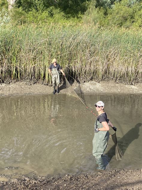 Image result for Alien Adelaide