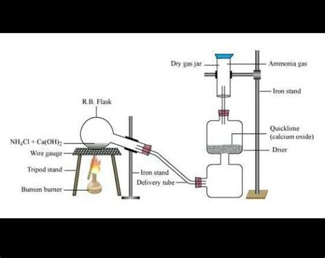 describe the method of preparation of dry ammonia in laboratory by ...