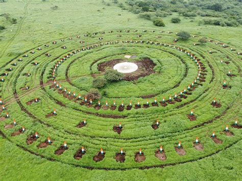 Lions spotted in Rajkot district as Gujarat builds shelters with ponds ...