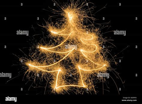 Image result for Color Tree Drawing