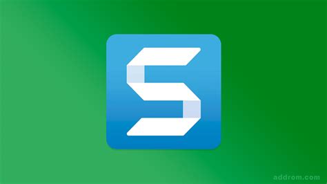 Snagit Demo 的图像结果