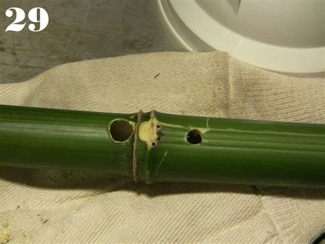 How to Make a Bamboo Flute Easy 的图像结果