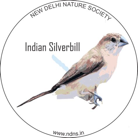 INDIAN SILVERBILL (sticker) - New Delhi Nature Society